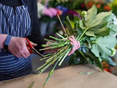 Bloemschikken met Groei & Bloei in Berkel en Rodenrijs