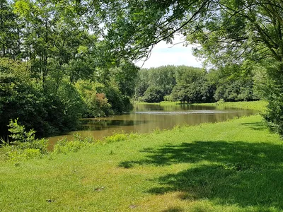 Samen Buiten: drie ochtenden wandelen rond de Bergsche Plas