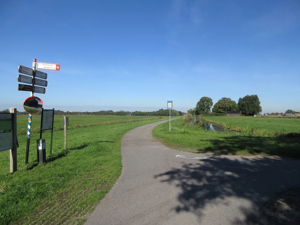 Vogels kijken bij de Ackerdijkse Plassen: wandelroute vanaf Berkel en Rodenrijs
