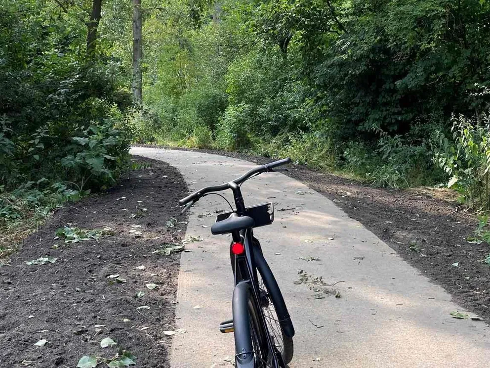 Wandelen in het Hoge en Lage Bergse Bos: routes, uitzichtpunten en tips