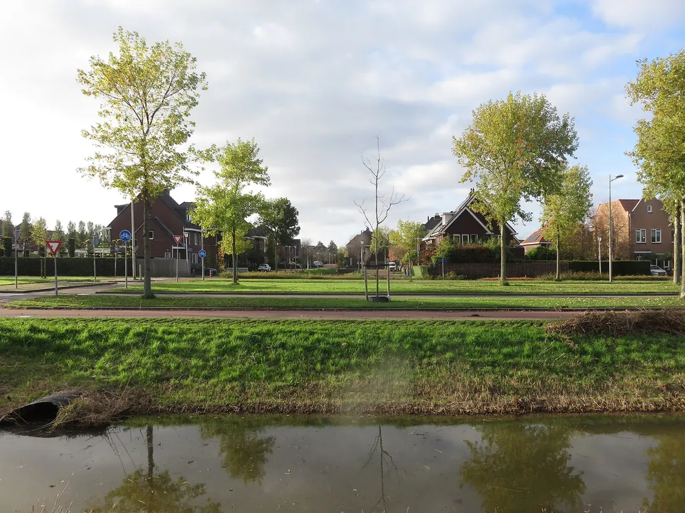 Gouden Buurten in Berkel en Rodenrijs: wonen in de Westpolder