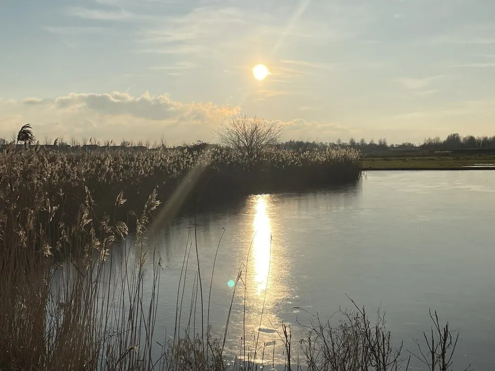 De Groenzoom in Lansingerland: wandelen, fietsen en vogels kijken
