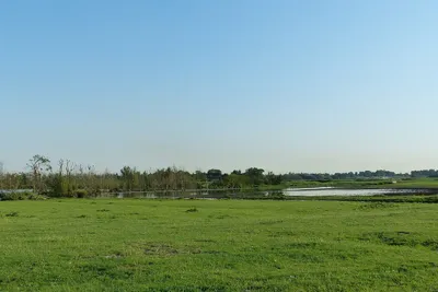 Grasland en plassen in de Ackerdijkse Plassen