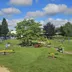 Speeltuin De Kievit