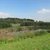 Fakkeltocht door het Hoge Bergse Bos