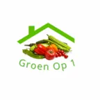 GroenOp1 logo